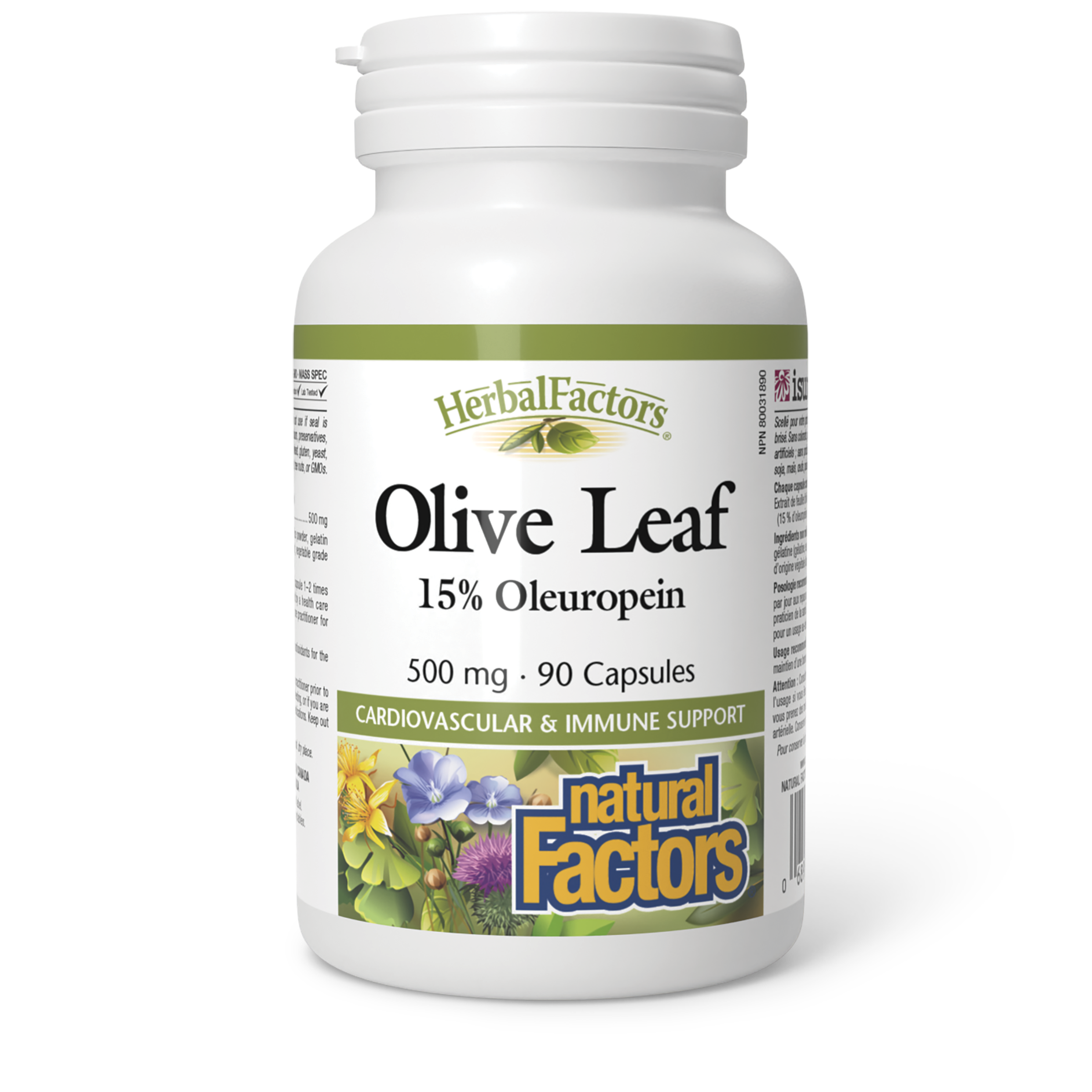 Natural Factors Olive Leaf 500 mg 90 Capsules Nutrition And Beyond